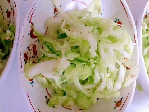 美味しくって簡単野菜の塩揉み